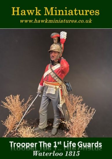 Life Guards, Waterloo 1815